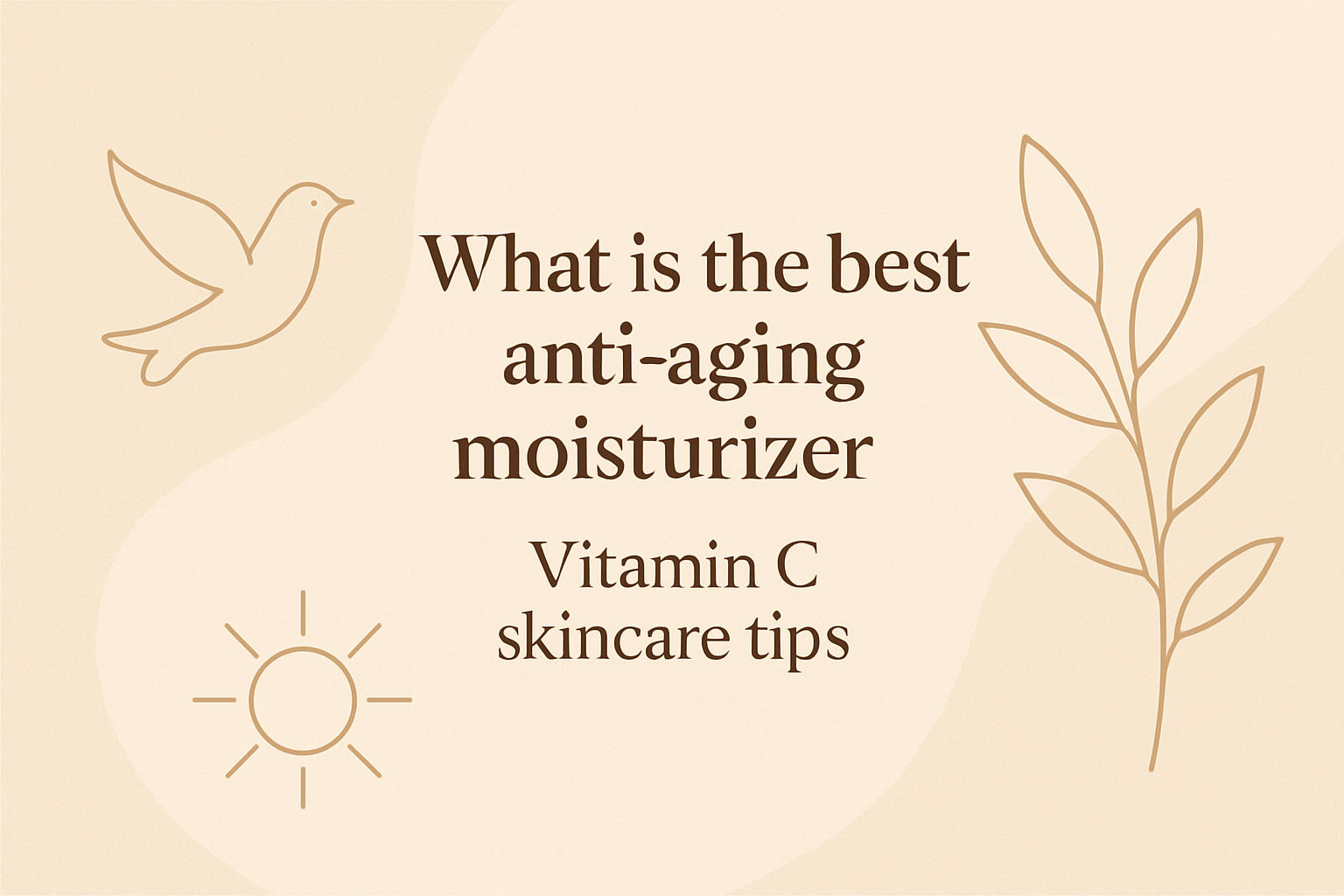 What Is The Best Anti Aging Moisturiser – Vitamin C Skincare Tipsimage
