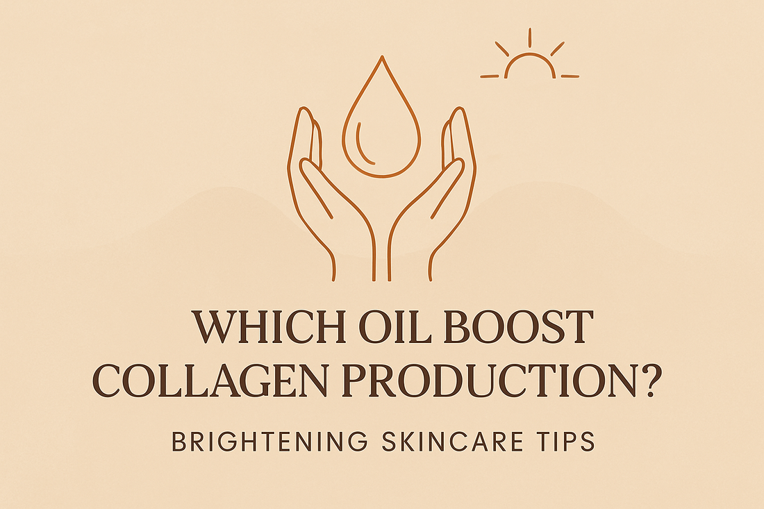 Which Oil Boost Collagen Production – Brightening Skincare Tipsimage