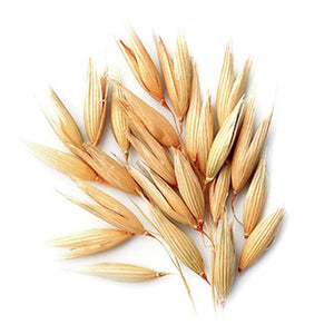 Oat Extract