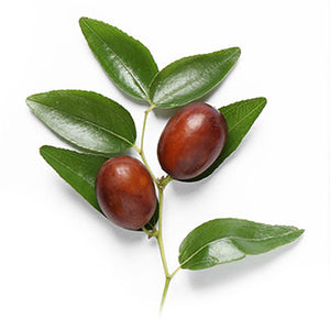 Jojoba Oil